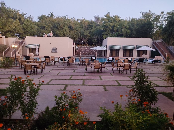 Ranthambore Kothi hotel property in Ranthambore
